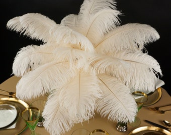 Ostrich Feathers 13-16" IVORY - For Feather Centerpieces, Party Decor, Millinery, Carnival, Fashion & Costume ZUCKER®