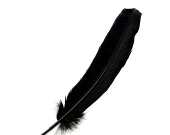 May include: A single, solid black bird feather positioned diagonally against a plain white background. The feather features a central, rigid quill with fine, soft barbs extending outward, creating a smooth, tapered shape from base to tip.