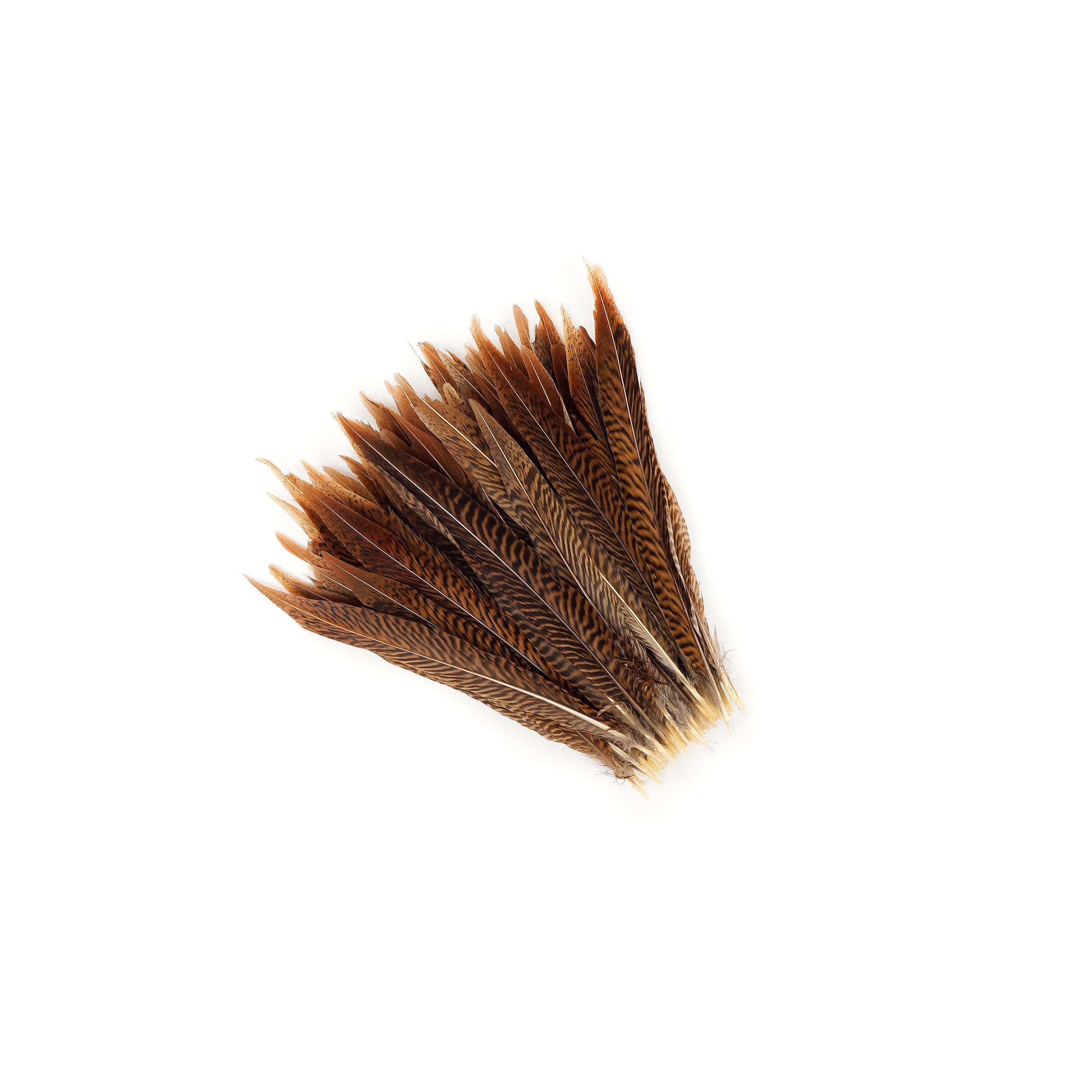 150 pcs Natural Color Pheasant Feathers Assorted Length Arts