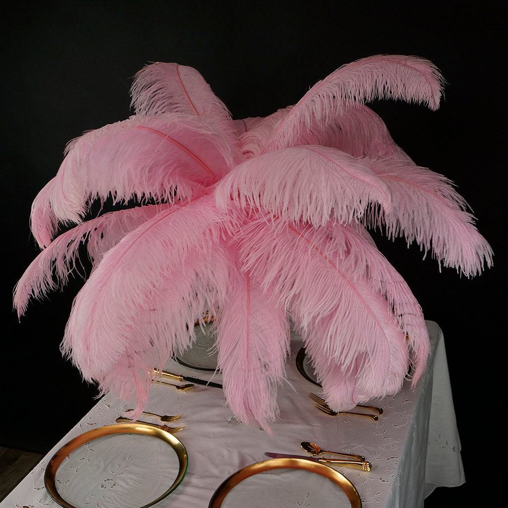 COMING SOON! White Ostrich Feathers - 18 -30 - Prime Femina Plumes