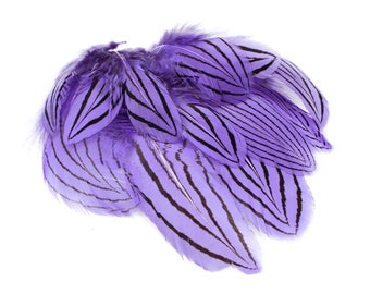 Lavender Silver Pheasant Plumage Unique Feathers, 1 DOZEN 2-4", Dyed Silver Pheasant Barred Plumage ZUCKER® Dyed & Sanitized USA