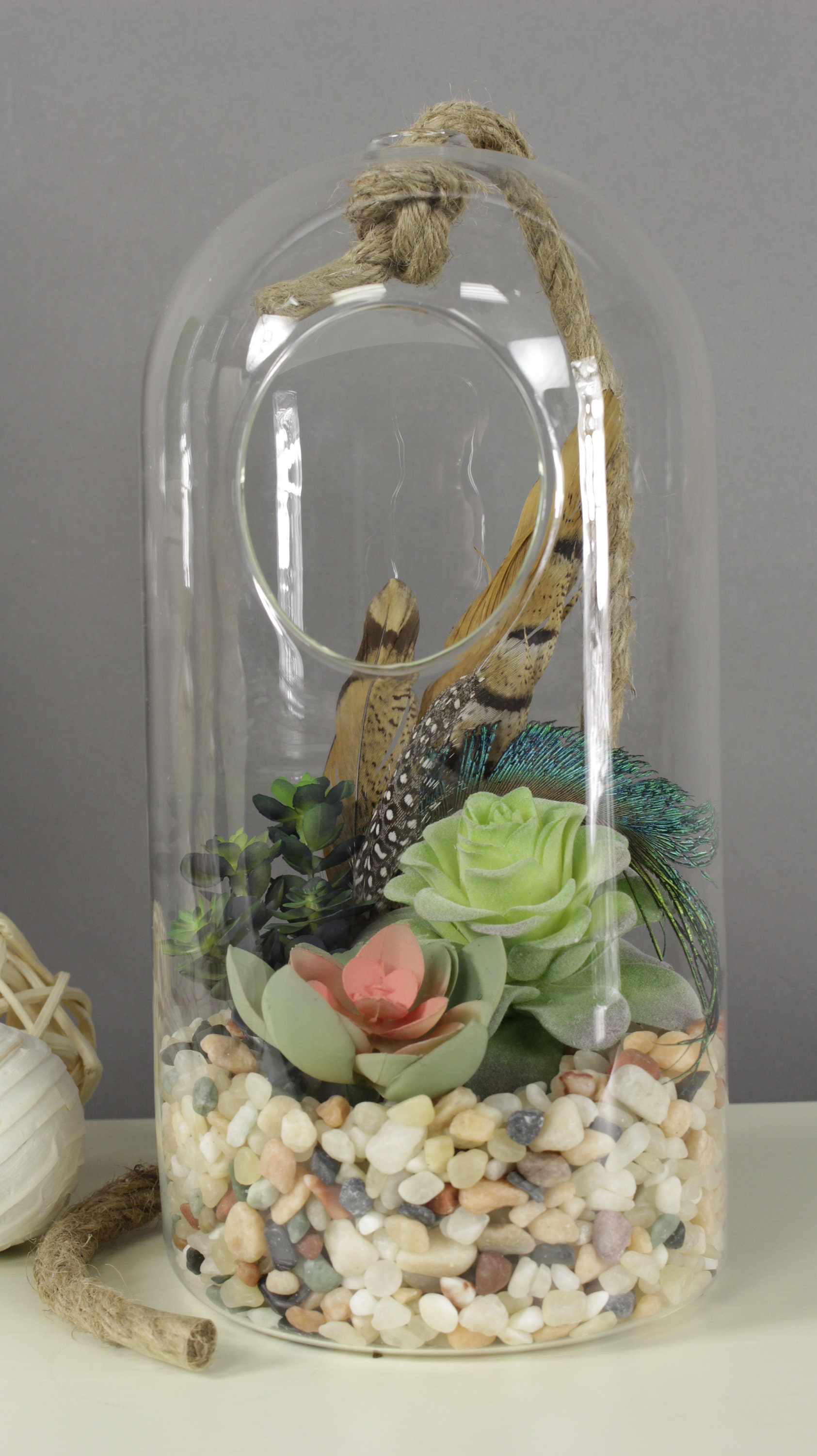 Hanging Glass Terrarium, Clear Terrarium Vase with Rope, Personalized