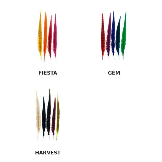 Dyed Pheasant Tail Feathers – Assorted Colors, 14-18" 25 pieces