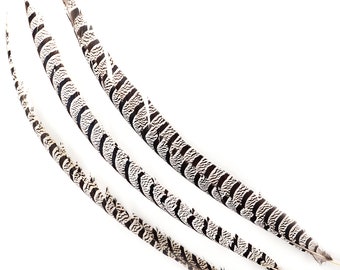 Natural Pheasant Tail Feathers, 20-40" Lady Amherst Pheasant Center Tail Feathers 3 pieces Carnival Costume Design & Cultural Arts  ZUCKER®