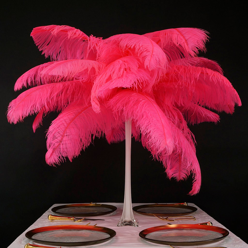 Large Ostrich Feathers 1725”, 1 to 25 Pieces Prime Ostrich Femina Wing