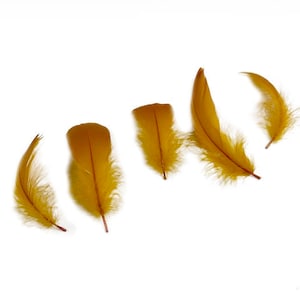 Goose Nagoire Feathers, 4-6&quot; Antique Gold Loose Goose Nagoire Feathers, Small Feathers, Arts and Craft Supplies ZUCKER®
