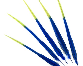 Blue and Lime Green Tipped Bleach Dyed Pheasant Feathers, 5 Two Tone Tail Feathers 20-24" Ombre Dyed Ringneck Pheasant Tail Feathers ZUCKER®
