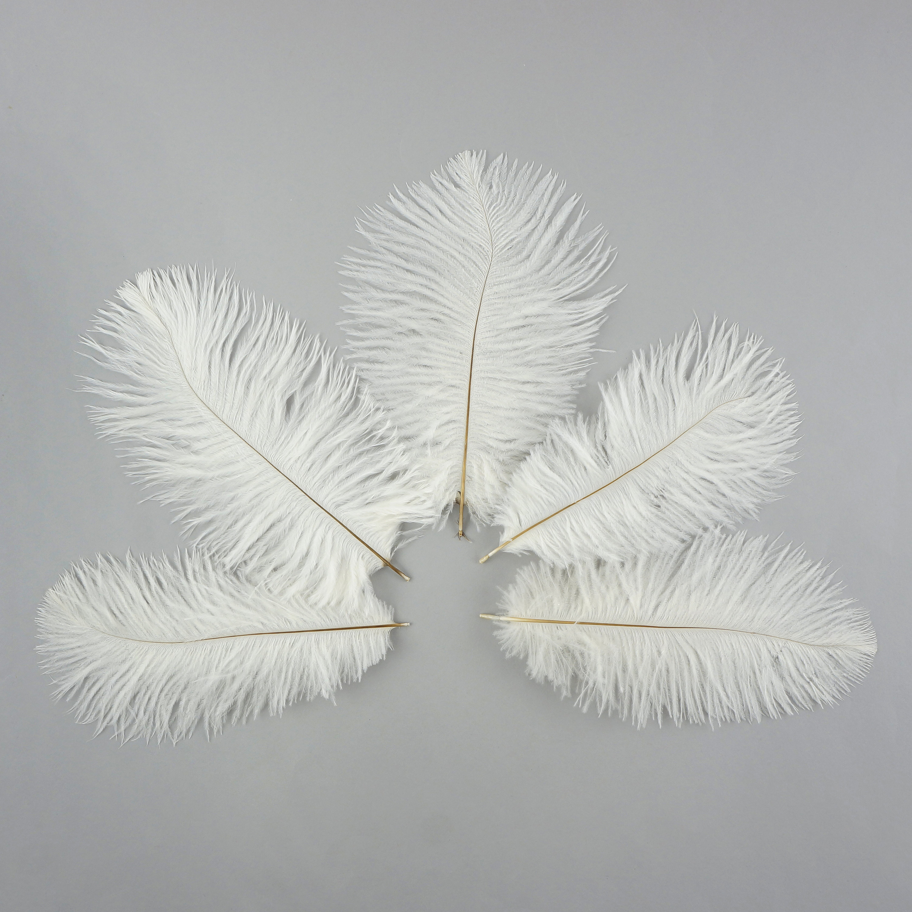 Confetti Craft Ostrich Feathers (White)