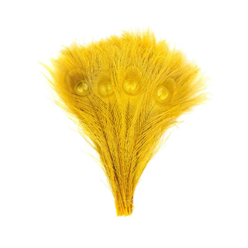 Gold Peacock Feathers & Vase Set Smoke Gray with Black Etsy