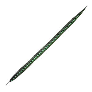 May include: A long, slender feather with a black and green pattern. The feather has a dark green base with a series of lighter green, oval-shaped markings along its length. The edges are black, creating a contrasting border.