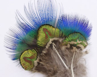 Peacock Feathers, Natural Blue and Green Gold Peacock Plumage, Loose Peacock Plumage Feathers, Small Golden Peacock Plumage ZUCKER®