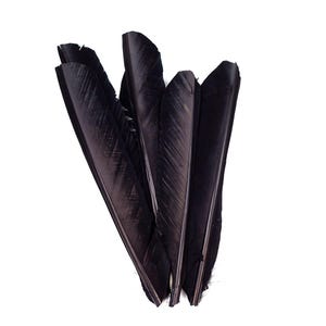 Black Cut Turkey Pointers 8-12&quot; Dyed 6pcs, Cut Turkey Pointer Quills for Costume, Carnival, Halloween, Cosplay and DIY Arts & Crafts ZUCKER®