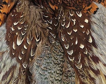 Pheasant Feather Pelt, Piece Complete Natural Ringneck Pheasant