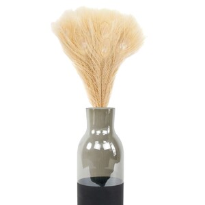 Puede incluir: Un jarrón de vidrio transparente con fondo negro, lleno de un ramo de hierba de la pampa seca de color beige.