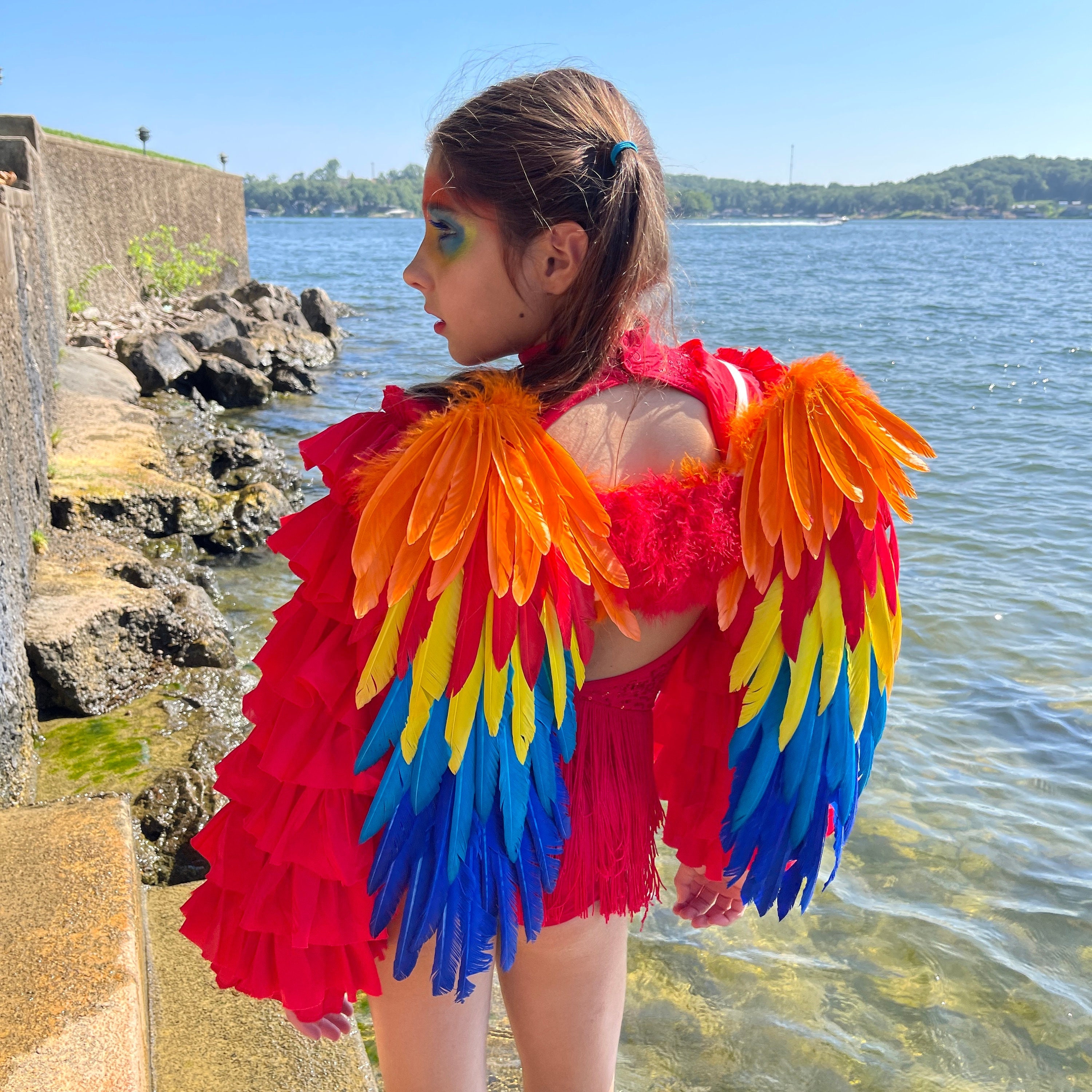 Bird Wings Costume