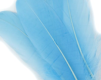 Goose Feathers, 6-8" Loose Goose Pallet Feathers LIGHT BLUE - Arts and Craft Supplies ZUCKER®