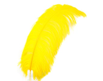 May include: A single, vibrant yellow feather against a white background. The feather is curved, with a soft, textured appearance. The image is a close-up, highlighting the feather's details and color.