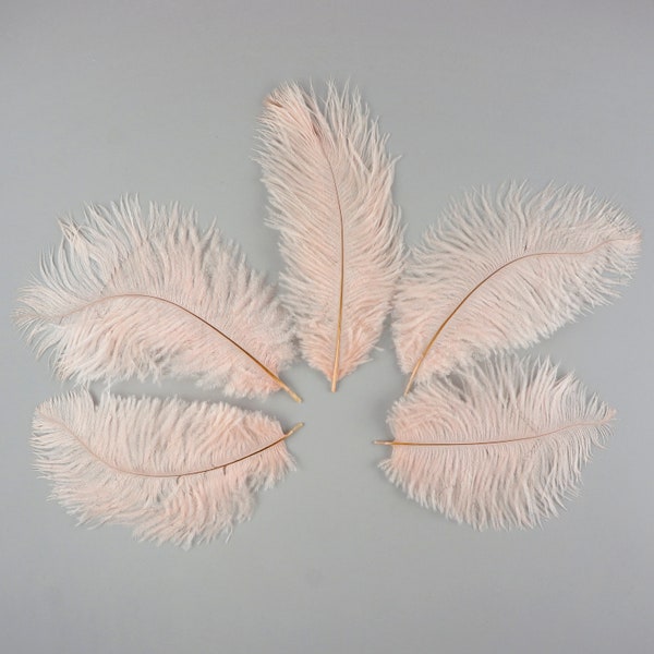 Champagne Feathers Etsy