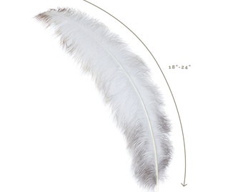 Ostrich Feathers, Natural Ostrich Feather Spads 18-24", Centerpiece Floral Supplies, Carnival & Costume Feathers ZUCKER®