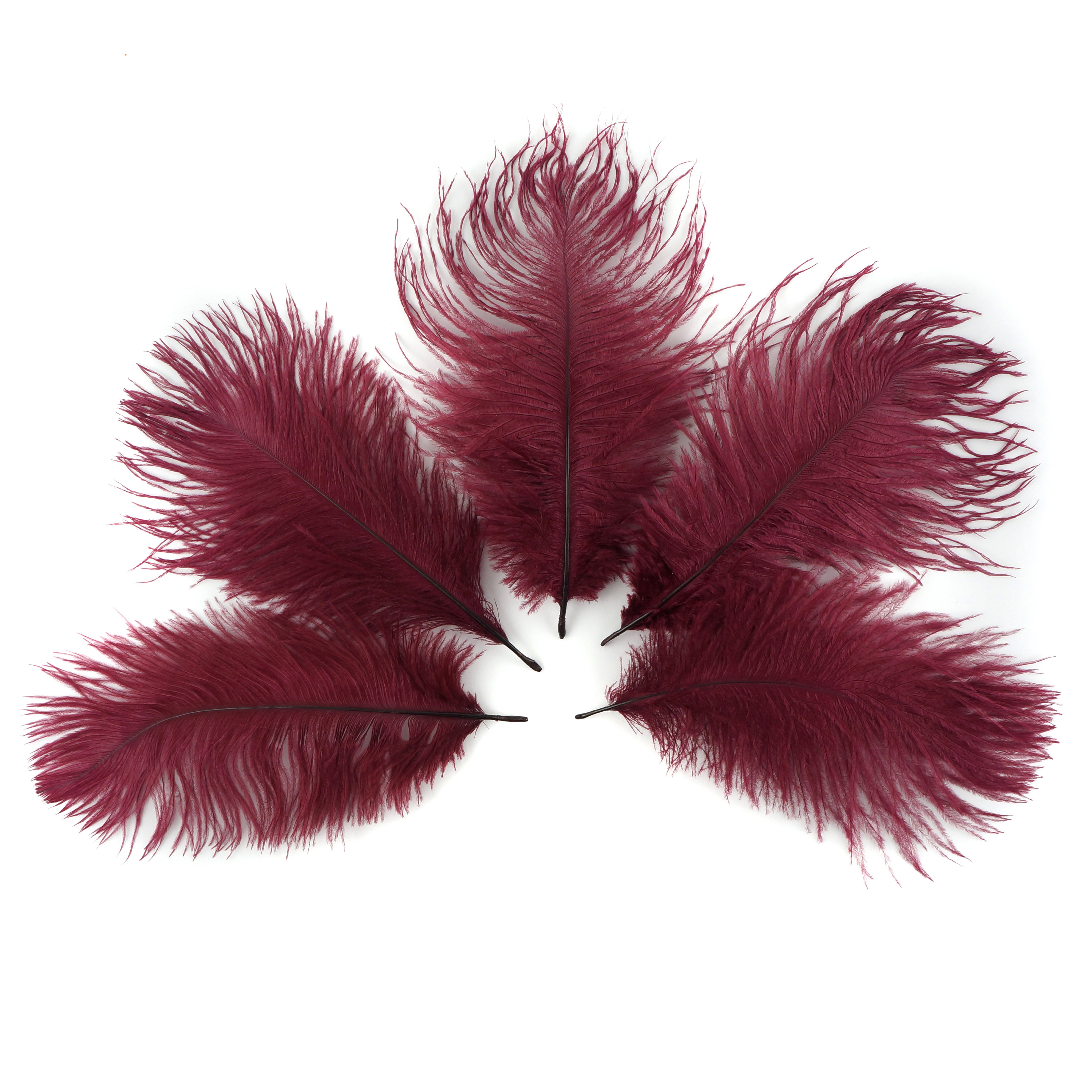 Bulk Ostrich Feathers 48 BURGUNDY, Mini Ostrich Drabs, Bouquets