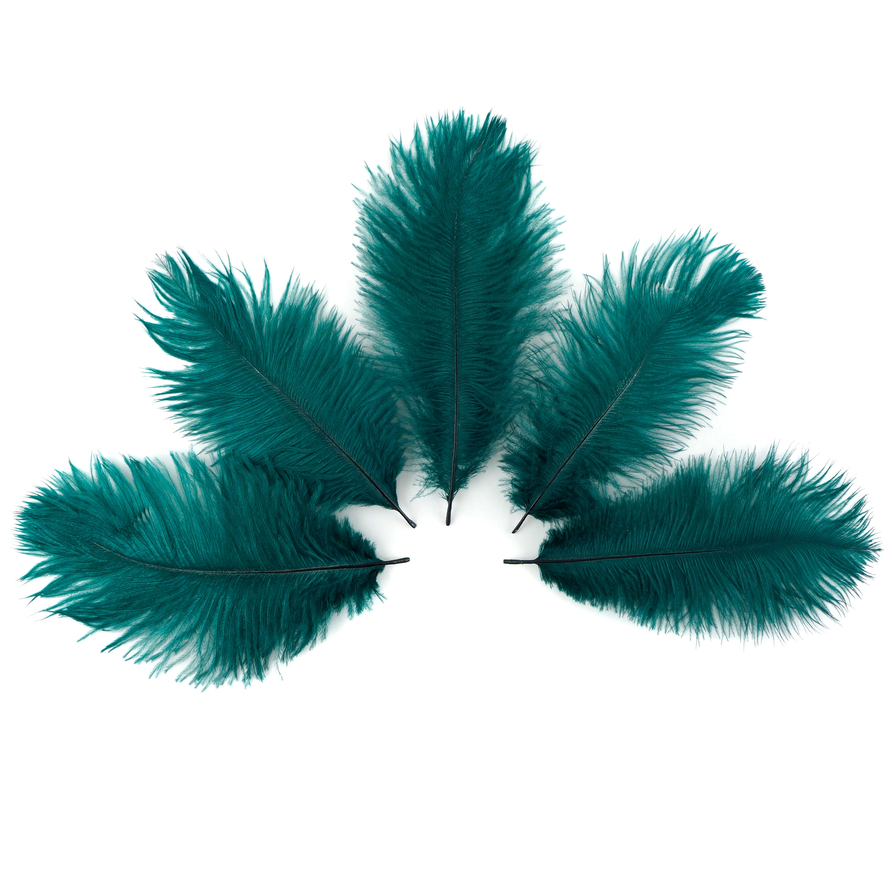 1/2 Lb. - 25-29 Teal Green Large Ostrich Wing Plume Wholesale Feathers  (Bulk)