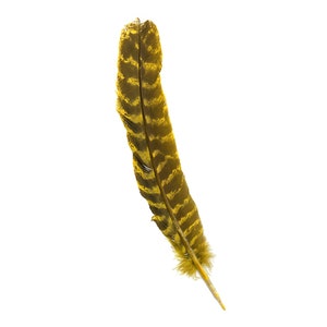 Plumas Turquía salvaje, natural Barred Quills 8-12” teñido AMARILLO de la sombrerería, colectores ideales, artes manuales, ZUCKER®