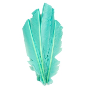 Mint Cut Turkey Pointers 8-12&quot; Dyed 6pcs, Turkey Pointer Quills for Costume, Carnival, Halloween, Cosplay and DIY Arts & Crafts ZUCKER®