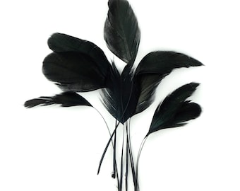4-6" Loose Black Iridescent Stripped Rooster Coque Tail Feathers 10 pcs for Millinery, Jewelry, Mask Making, Floral, Hair & Fashion ZUCKER®