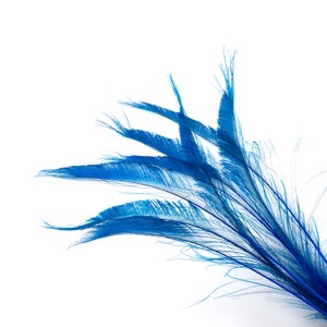 Bleach Dyed Peacock Sword Feathers 10 to 100 Pieces 15-25" Dark TURQUOISE - Floral Decor, Millinery, Jewelry Design ZUCKER® Sanitized in USA
