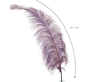 Ostrich Feathers, Amethyst Ostrich Feather Spads 18-24", Centerpiece Floral Supplies, Carnival & Costume Feathers ZUCKER®