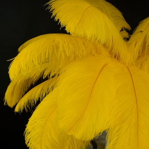 Large Ostrich Feathers 17-25&quot;, 1 to 25 Pieces, YELLOW, For Wedding Centerpieces, Party Decor, Millinery, Carnival, Costume ZUCKER® USA