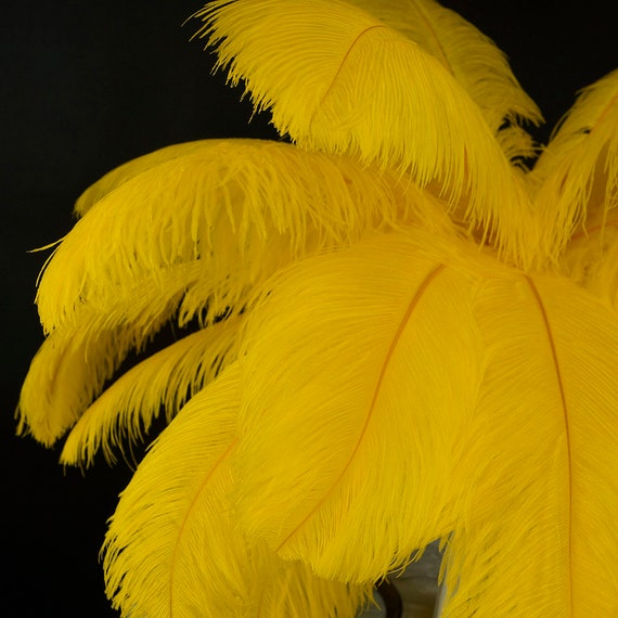 Ostrich Feathers, 10 Pieces 14-17 Yellow Ostrich Dyed Drab Large