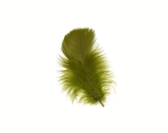 Turkey Feathers, Olive Green Loose Turkey Plumage Feathers, Short T-Base Body Feathers for Craft and Fly Fishing Supply ZUCKER®