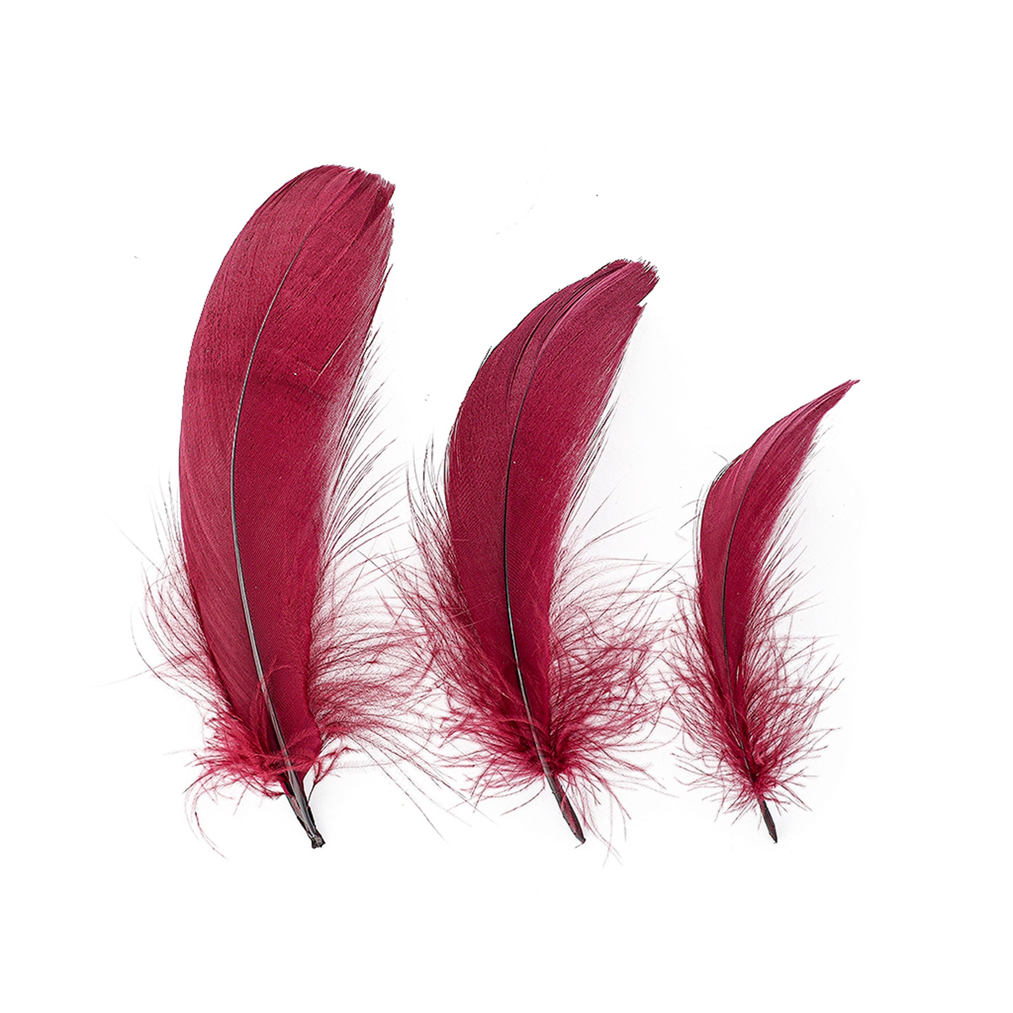 Goose Nagoire Feathers, 46 Burgundy Wine Loose Goose Nagoire Feathers, Small Feathers, Arts and