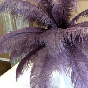 Amethyst Ostrich Feathers, 17-20", Drabs, Zucker USA 25 pieces