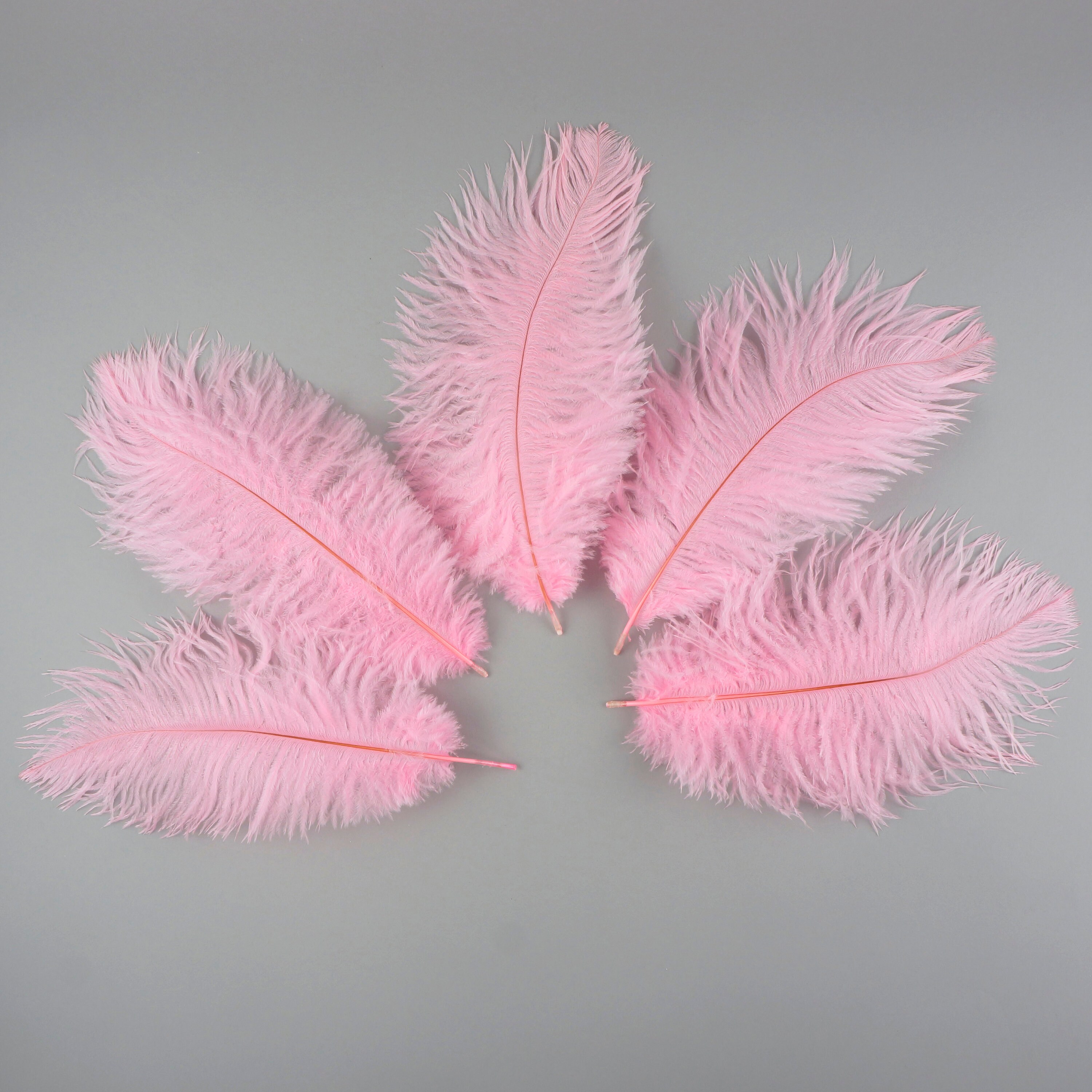 Ostrich Feathers 9-12 Drabs - Shocking Pink