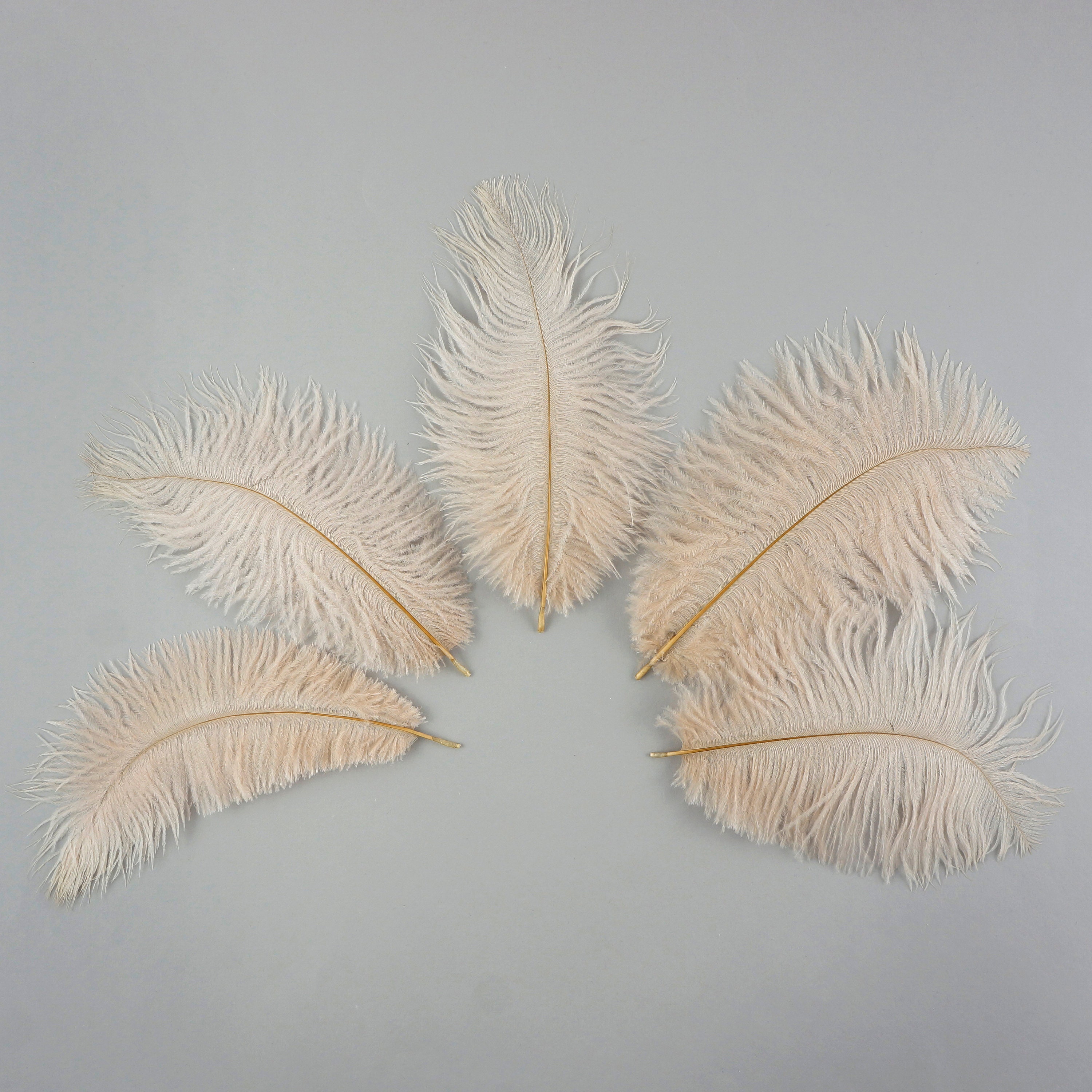 Ivory Ostrich Feathers, 1 Yard Ivory Ostrich Fringe Trim Wholesale Feather  bulk : 1822 