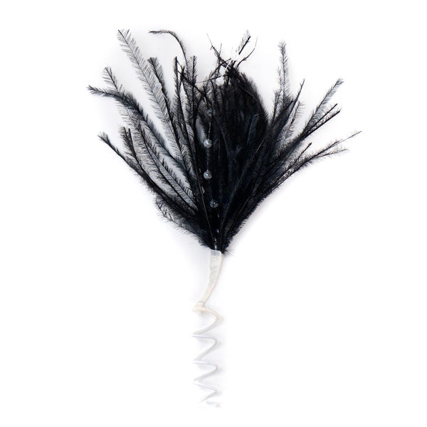 Small Decorative Black Ostrich Feather Accent for Millinery, Boutonniere and Corsage, Jewelry Design, Decor, Arts and Craft Supply ZUCKER®