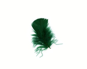 Turkey Feathers, Hunter Green Loose Turkey Plumage Feathers, Short T-Base Body Feathers for Craft and Fly Fishing Supply ZUCKER®