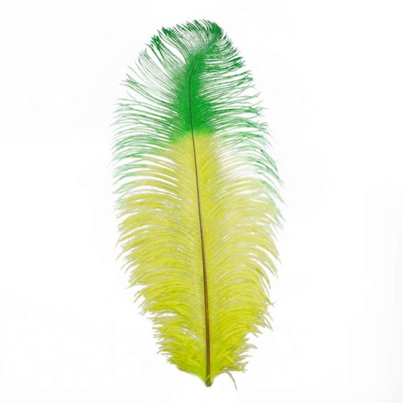 10 Pieces 17-19 Lime Green Ostrich Feathers