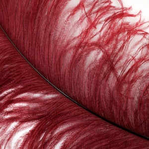 Large Ostrich Feathers 17-25&quot;, 1 to 25 Pieces, BURGUNDY, Prime Femina Wing Feathers, Centerpieces, Renaissance Festival, Carnival ZUCKER®