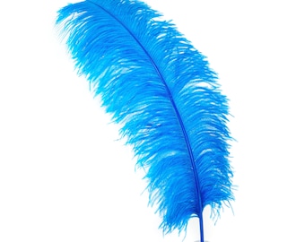 May include: A single, vibrant blue feather with a clear, cylindrical base. The feather is long and curved, with a central quill and soft, feathery barbs. The background is plain white, highlighting the feather's color and texture.
