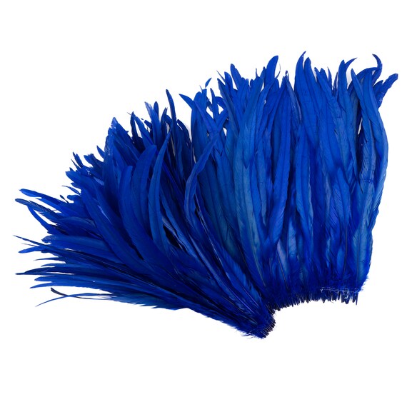 17+ Rooster Tail Size Chart