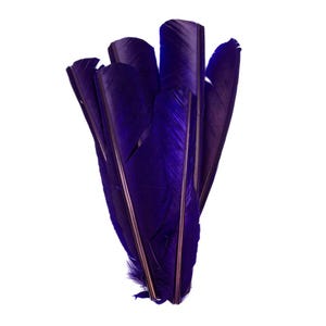 Regal Cut Turkey Pointers 8-12&quot; Dyed 6pcs, Turkey Pointer Quills for Costume, Carnival, Halloween, Cosplay and DIY Arts & Crafts ZUCKER®