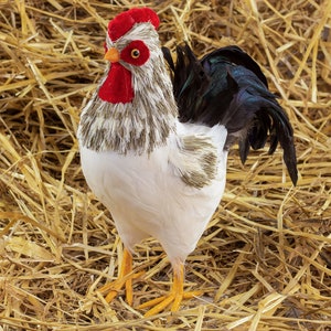 White and Grey Decorative Farmhouse Rooster and Chicken Decoration, Country Chic Decorative Bird, Home Gift & Christmas Decoration ZUCKER®