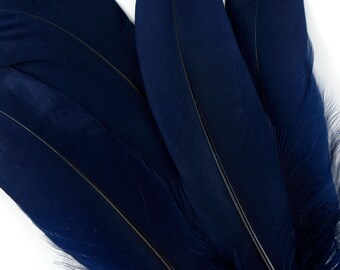 Goose Feathers, 6-8" Loose Goose Pallet Feathers NAVY  -  Arts and Craft Supplies ZUCKER®