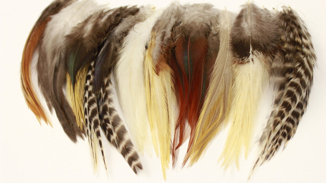 Natural Loose Rooster Saddle Feathers, 3-6