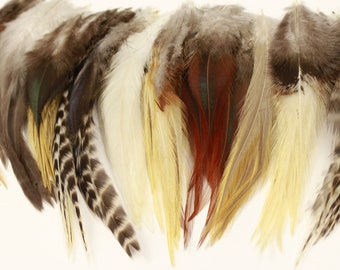 Puede incluir: Surtido de plumas en varios colores y patrones, incluyendo marrón, blanco, beige y rojo. Las plumas están dispuestas en una fila y tienen una textura natural y suave.