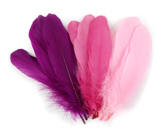 Mixed Dyed Goose Pallet Feathers 12 pieces LOVE BUG Goose Feathers, Pink Craft Feathers and Art Supplies  ZUCKER®