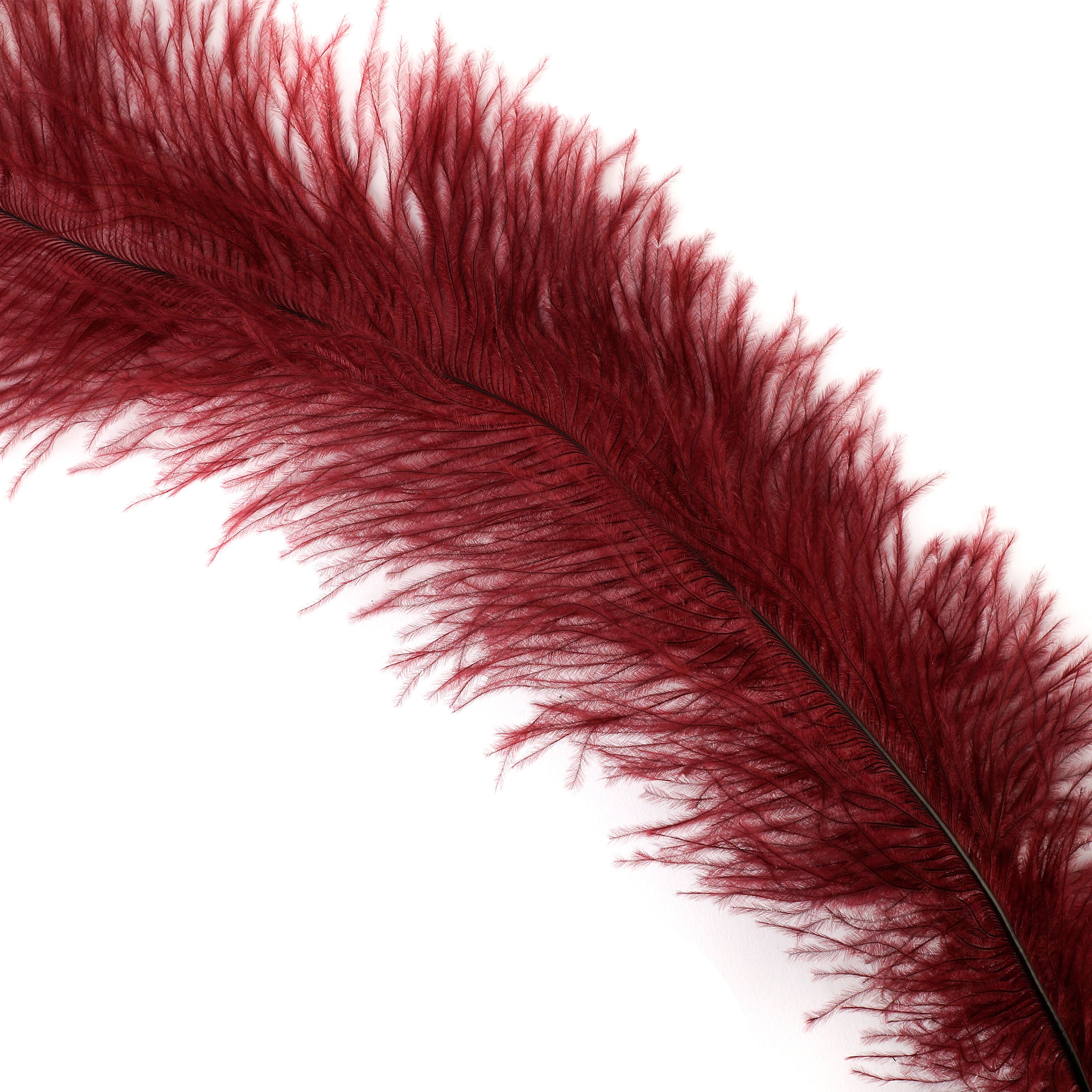 BURGUNDY 1015 Ostrich Floss Feathers 50PCS For Floral Bouquets, Small Feather Centerpieces